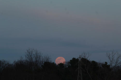 Pink Moon over Auburn